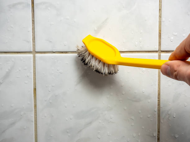 Reliable Woodside, CA Mold Removal Solutions