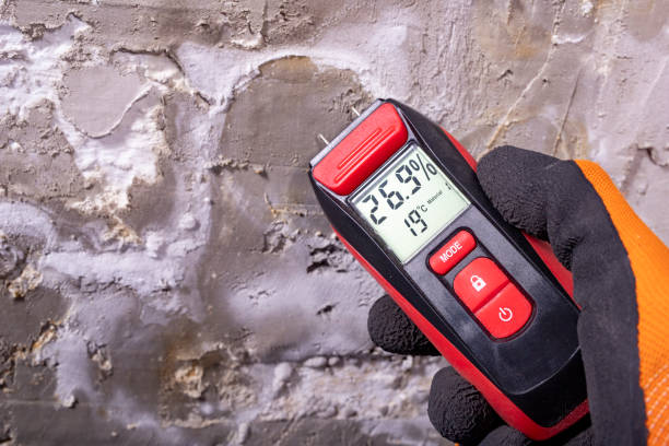 Best Commercial Mold Removal  in Woodside, CA