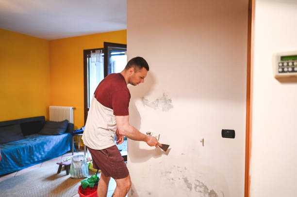 Best Mold Testing  in Woodside, CA