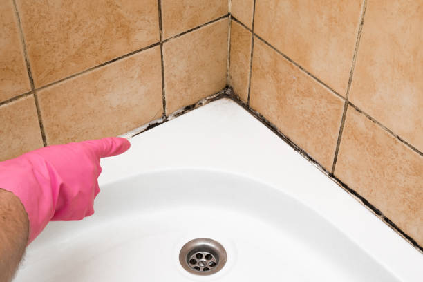 Best Crawl Space Mold Removal  in Woodside, CA